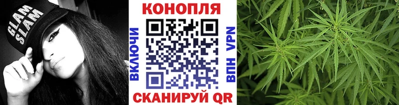 Канабис план Салаир